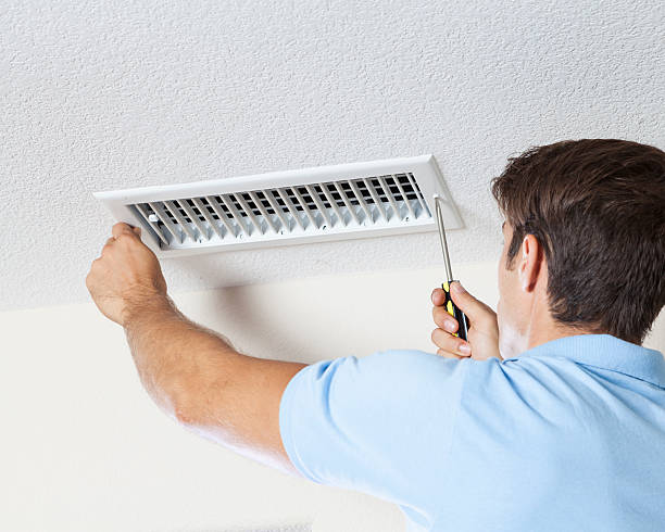 Best Real Estate Mold Inspection  in Stlman Valley, IL